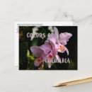 Suche nach cattleya postkarten Blume