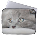 Suche nach miezekatze laptop schutzhüllen Katzenartig