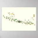 Suche nach insectes poster Grasshopper