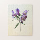 Suche nach peruanisch puzzle Blume