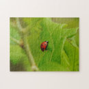Suche nach ladybug puzzle Fehler