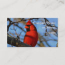Suche nach roter vogel visitenkarten Blau