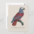 Suche nach tapir postkarten Papagei