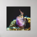 Suche nach tauchen an poster leinwandbilder Unterwasser