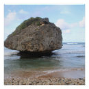 Suche nach barbados poster Urlaub