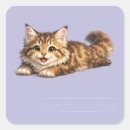 Suche nach maine coon aufkleber Flauschige katze