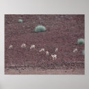 Suche nach rotes gras poster Für sie