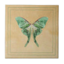 Suche nach motte fliesen Luna