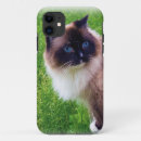 Suche nach ragdoll katze iphone hüllen Kätzchen