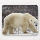 Suche nach ursus maritimus mousepads Tragen