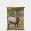 Suche nach elk kunst Hirsch