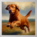 Suche nach chesapeake poster Hund