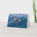 Suche nach delphine karten Tierwelt