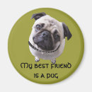 Suche nach pug wohnen zuhause Mops