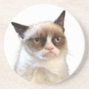 Suche nach mürrisch untersetzer Katze