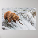 Suche nach braunbären poster Alaska