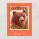 Suche nach braunbär postkarten Grizzlyn