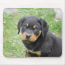 Suche nach rottweiler welpe mousepads Hund
