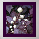 Suche nach fotomanipulation poster Blume