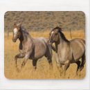 Suche nach ranchs mousepads Bauernhof