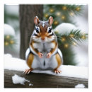 Suche nach chipmunk foto poster Tiere