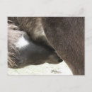 Suche nach mini postkarten Angel