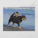 Suche nach hecht postkarten California