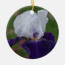 Suche nach iris ornamente Natur