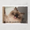 Suche nach holiday humor postkarten Katze