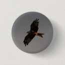 Suche nach roter drache buttons Drachen