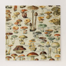 Suche nach füttern puzzle Pilze