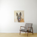 Suche nach belgische malinois poster Belgianisch