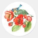 Suche nach blauer vogel aufkleber Aquarell