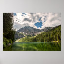 Suche nach zedernbaum poster Wald