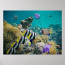 Suche nach tropical fish poster Coral