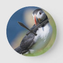 Suche nach komisch wanduhren Vogel