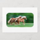 Suche nach palomino einladungen Reiten