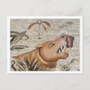 Suche nach der nil postkarten Nile