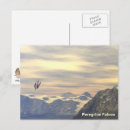 Suche nach falcone postkarten Natur