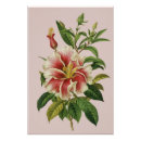 Suche nach botanische malerei poster Büro