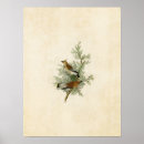 Suche nach bird poster Wandkunst