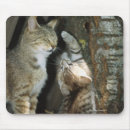 Suche nach profil mousepads Nahaufnahme