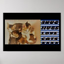 Suche nach liebe katze poster Für haustiere