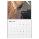 Suche nach pferdeartig kalender Fotografie