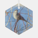 Suche nach spottdrossel ornamente Vögel