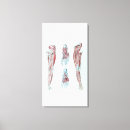 Suche nach anatomie leinwandbilder Menschlich