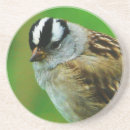 Suche nach wilder vogel untersetzer Federn