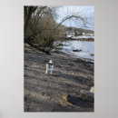 Suche nach jack russell terrier poster Portrait