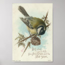 Suche nach vintager vogel poster Historisch