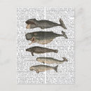 Suche nach wal postkarten Blume